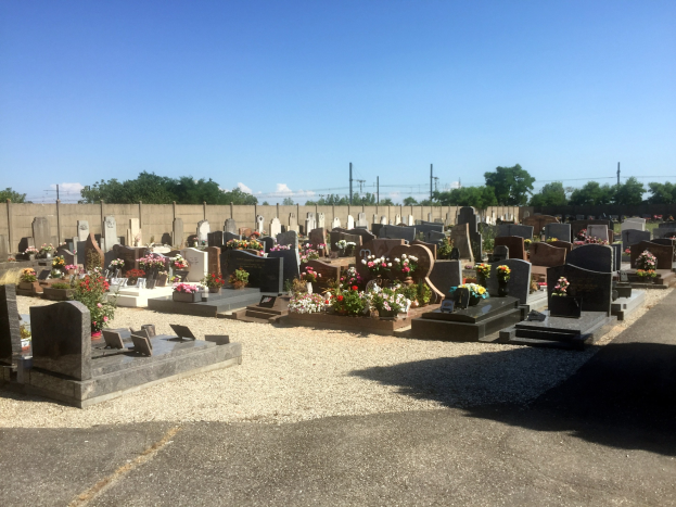 Ein Friedhof mit zahlreichen von Blumen geschmückten Grabsteinen, eine entfernte Wand, Strommasten mit Drähten, Bäume und ein bewölkter Himmel.