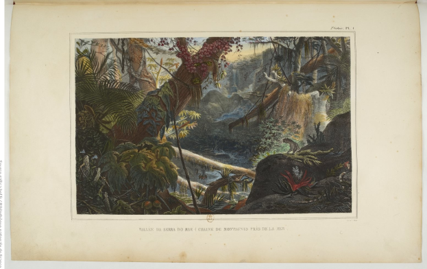 Ein aufgeschlagenes Buch mit einer Malerei eines üppigen Dschungelszenen mit Bäumen, Pflanzen, Felsen und einem Wasserfall, mit Text unten.