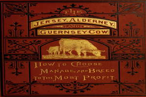 Ein Buch mit dem Titel "Die Jersey-, Alderney- und Guernsey-Kuh: Wie man auswählt, verwaltet und züchtet, um den größten Gewinn zu erzielen" mit einer Kuh auf dem Cover.