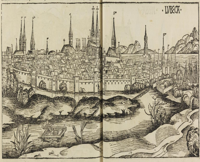 Offenes Buch mit einer detaillierten Illustration aus dem 16. Jahrhundert von Lwiw, Ukraine, das Gebäude, Bäume, Pflanzen, Wasser und Text auf den Seiten zeigt.