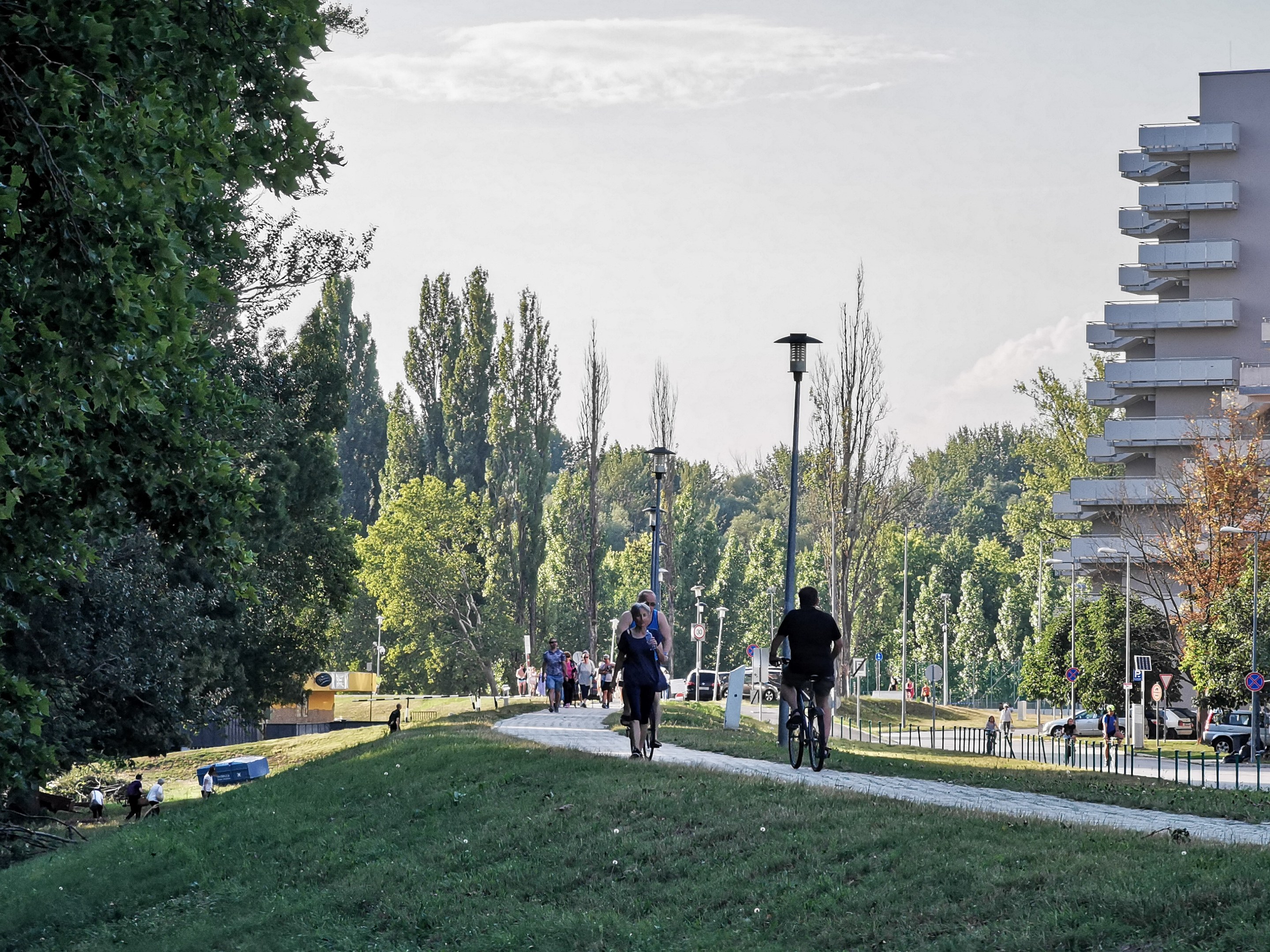 Gruppe von Menschen, die auf Fahrrädern eine Parkwegstrecke mit Bäumen, Straßenlaternen und Gebäuden im Hintergrund hinunterfahren.