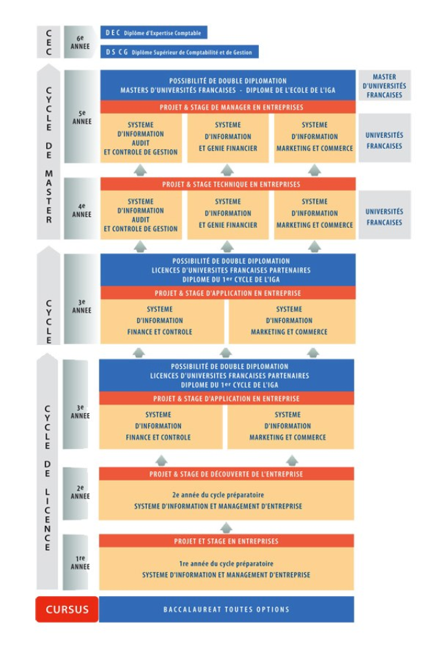 Diagramm, das die organisatorische Struktur eines Unternehmens mit interconnected boxes darstellt, die verschiedene Phasen des Geschäfts growths and developments repräsentieren, jeweils mit Rollen und Verantwortlichkeiten beschriftet.