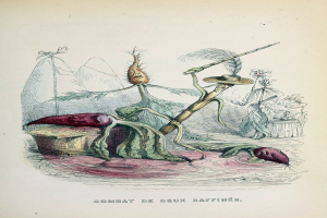 Ein Buchumschlag mit einem Mann in einem langen dunklen Mantel und Hut sowie einer Frau in einer Schürze und einem Kleid, beide in Kampfstellung mit entschlossener Miene, mit dem Text "Combat deux raffines".