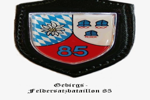 Abzeichen mit der Nummer 85 und dem Logo von FC Bayern München, darunter deutscher Text.