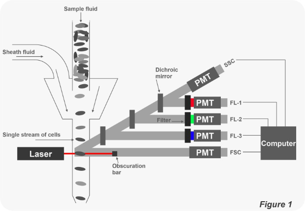 Diagramm, das einen Laser mit einem Computer zeigt, mit Text, der die Komponenten des Systems beschreibt, und einem Schema einer einzelnen Zellreihe.