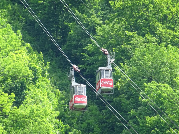 Zwei Seilbahnen mit der Aufschrift "SEILBAHN" fahren einen bewaldeten Berg hinauf.