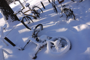 Eine Reihe von Fahrrädern, teilweise von Schnee bedeckt, steht neben einem Baumstamm und einer Straße.