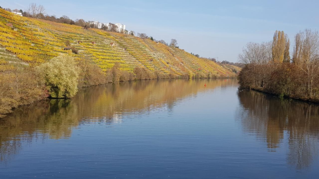Ein Fluss fließt durch ein grünes Feld neben einem Hügel mit Bäumen und Pflanzen, Weinberggebäude sind im Hintergrund unter einem klaren blauen Himmel sichtbar.